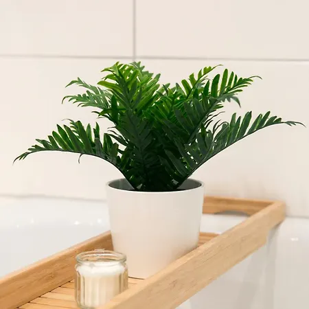 I Innenstadt I King-size-bett I *