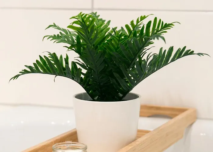 I Innenstadt I King-size-bett I *